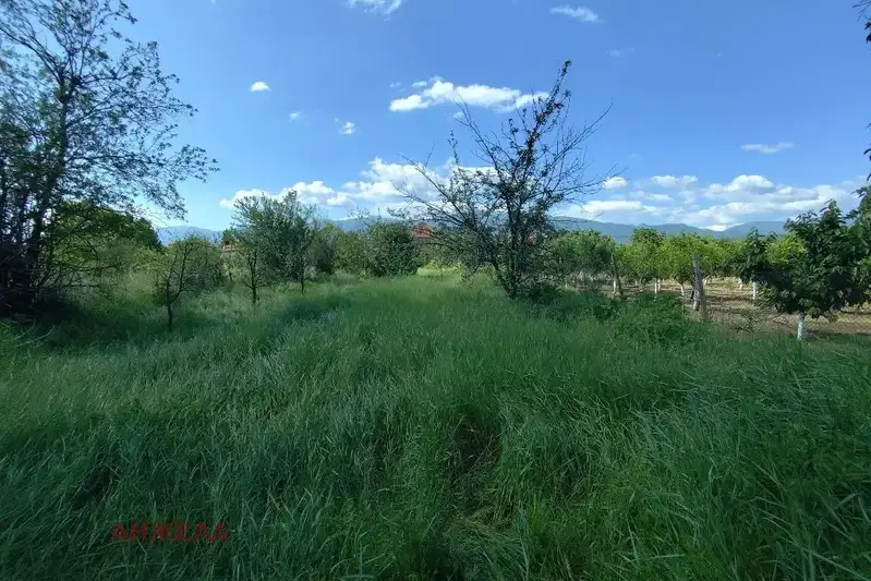 Plot in Oblast Pazardjik, Menenkiovo