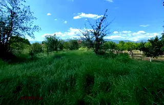 Парцел в Пазарджик, с. Мененкьово