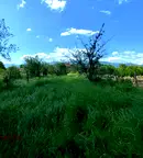 Парцел в Пазарджик, с. Мененкьово