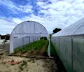 Снимка 4 — Парцел в Пазарджик, с. Огняново