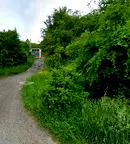 Парцел в Перник, с. Ярловци