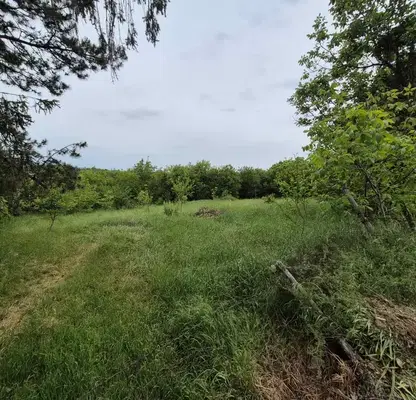Photo 2 — Plot in Oblast Pleven, Grivica