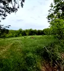 Парцел в Плевен, с. Гривица