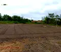 Снимка 3 — Парцел в Плевен, с. Тотлебен