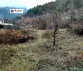 Снимка 3 — Парцел в Пловдив, Карлово