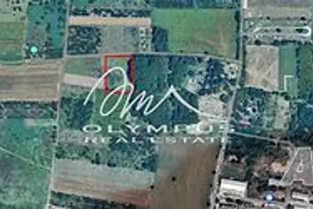 Plot in Oblast Plovdiv, Branipole
