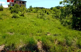 Парцел в Пловдив, с. Брестовица
