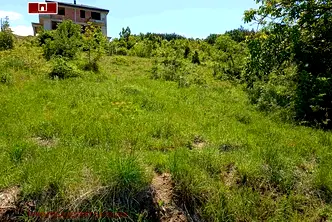 Парцел в Пловдив, с. Брестовица
