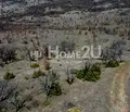 Снимка 2 — Парцел в Пловдив, с. Гълъбово