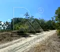 Снимка 3 — Парцел в Пловдив, с. Храбрино
