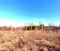 Снимка 3 — Парцел в Пловдив, с. Извор