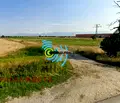 Снимка 2 — Парцел в Пловдив, с. Скутаре