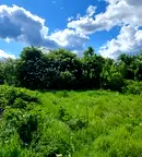 Парцел в Разград, с. Йонково