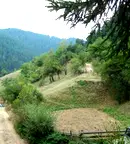 Парцел в Смолян, Чепеларе