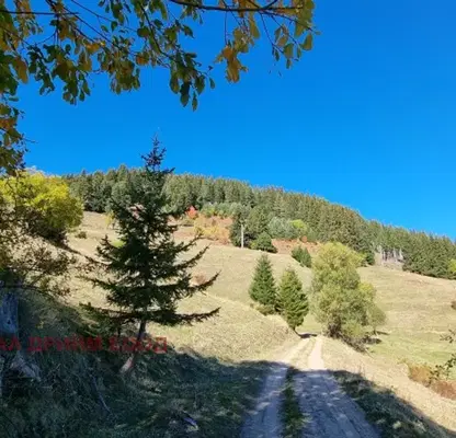Снимка 4 — Парцел в Смолян, Чепеларе