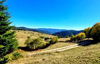 Парцел в Смолян, Чепеларе