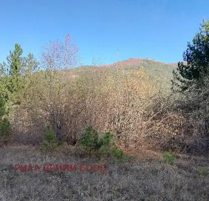 Photo 5 — Plot in Oblast Smolyan, Devin