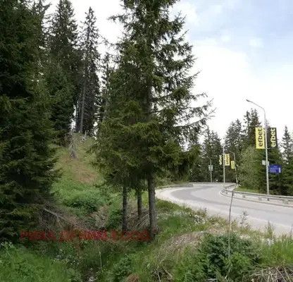 Photo 3 — Plot in Oblast Smolyan, Pamporovo