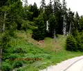 Снимка 4 — Парцел в Смолян, к.к. Пампорово