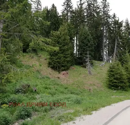 Photo 4 — Plot in Oblast Smolyan, Pamporovo