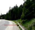 Снимка 5 — Парцел в Смолян, к.к. Пампорово