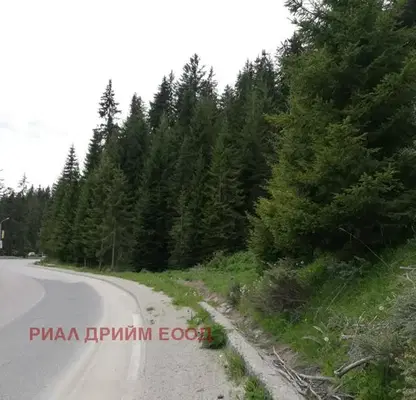 Photo 5 — Plot in Oblast Smolyan, Pamporovo