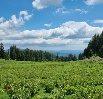 Photo 2 — Plot in Smolyan, Pamporovo