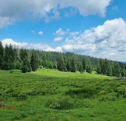 Photo 3 — Plot in Smolyan, Pamporovo