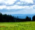 Снимка 5 — Парцел в Смолян, к.к. Пампорово