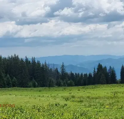 Photo 5 — Plot in Smolyan, Pamporovo