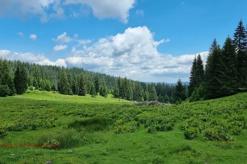 Парцел в Смолян, к.к. Пампорово