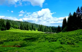 Парцел в Смолян, к.к. Пампорово