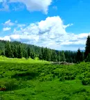 Парцел в Смолян, к.к. Пампорово