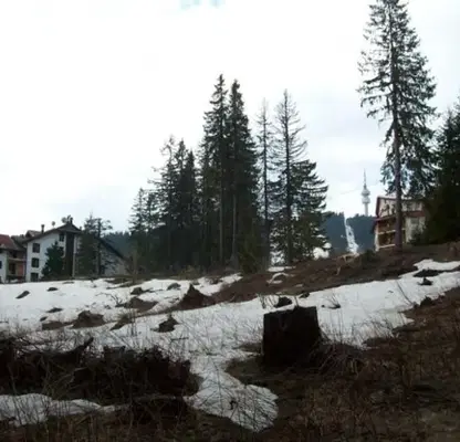 Photo 3 — Plot in Smolyan, Pamporovo