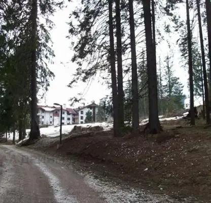 Photo 4 — Plot in Smolyan, Pamporovo