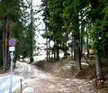 Снимка 5 — Парцел в Смолян, к.к. Пампорово