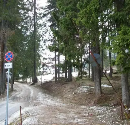 Photo 5 — Plot in Smolyan, Pamporovo