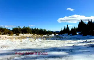 Парцел в Смолян, к.к. Пампорово