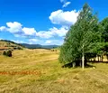 Снимка 4 — Парцел в Смолян, с. Гела