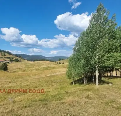 Снимка 4 — Парцел в Смолян, с. Гела