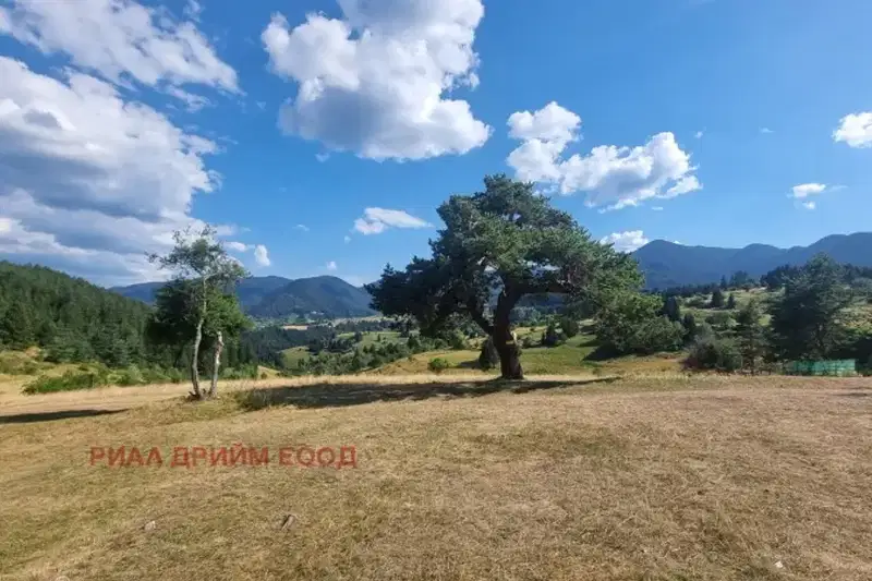 Парцел в Смолян, с. Гела
