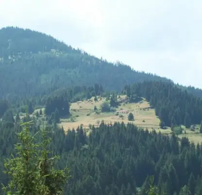 Photo 2 — Plot in Oblast Smolyan, Gela