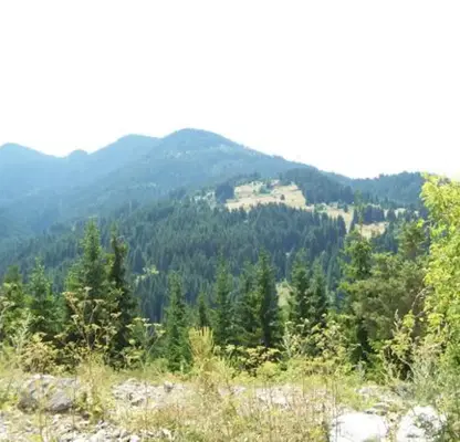 Photo 3 — Plot in Oblast Smolyan, Gela