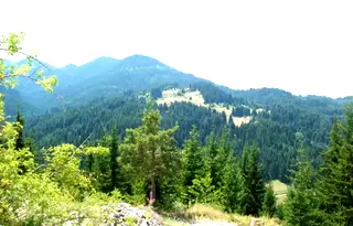 Парцел в Смолян, с. Гела