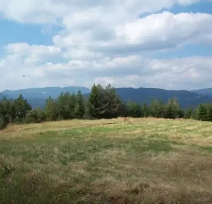 Photo 2 — Plot in Oblast Smolyan, Momchilovci