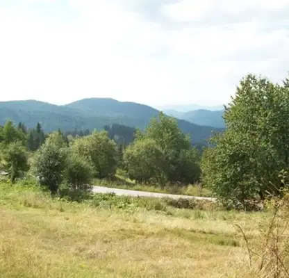 Photo 3 — Plot in Oblast Smolyan, Momchilovci
