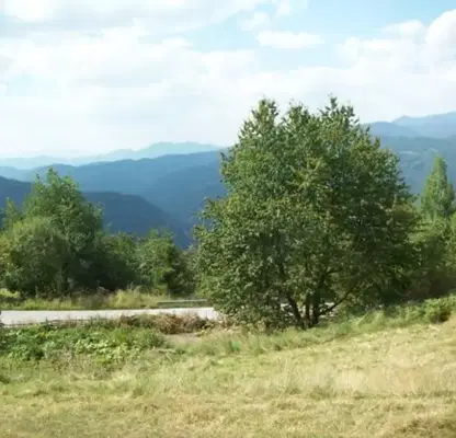 Photo 4 — Plot in Oblast Smolyan, Momchilovci