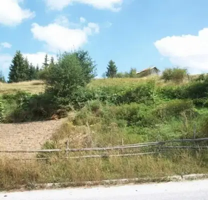 Photo 5 — Plot in Oblast Smolyan, Momchilovci