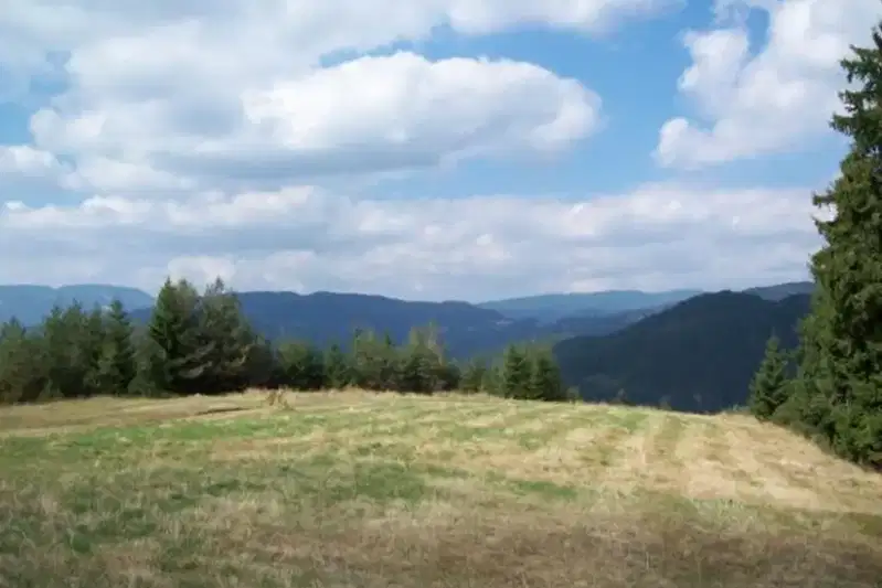Plot in Oblast Smolyan, Momchilovci
