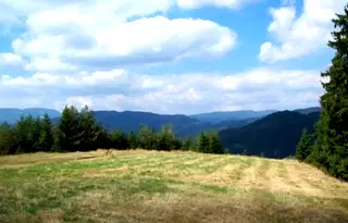 Парцел в Смолян, с. Момчиловци